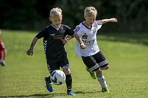 Phønix - Vinding SF