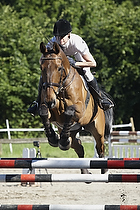 LB2 - Springning heste 110 cm