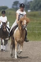 Klasse 1 og 4 - LD1 pony og hest