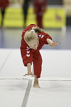 Karlslunde Gymnastic: Grevinderne i Ballerup Super Arena