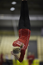 Karlslunde Gymnastic: Grevinderne i Ballerup Super Arena