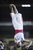Karlslunde Gymnastic: Grevinderne i Ballerup Super Arena