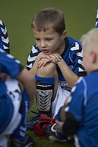 Greve Fodbold �rgang 2006