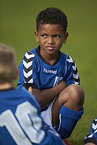 Greve Fodbold �rgang 2006