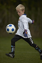 Greve Fodbold �rgang 2006
