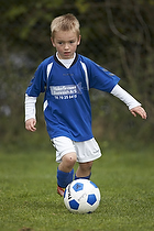Greve Fodbold �rgang 2006