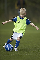 Greve Fodbold �rgang 2006