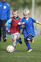 Greve Fodbold �rgang 2006