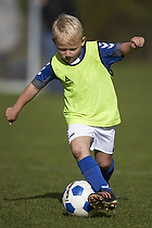 Greve Fodbold rgang 2006