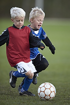 Greve Fodbold �rgang 2006