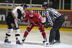 Rdovre Mighty Bulls - Herlev Eagles