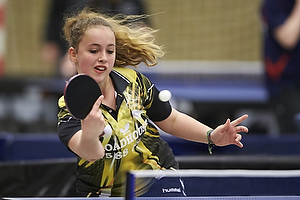 Bordtennis Ungdoms DM 2013
