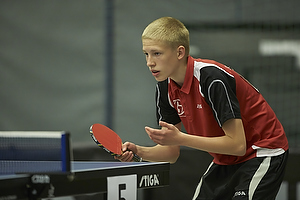 Bordtennis Ungdoms DM 2013