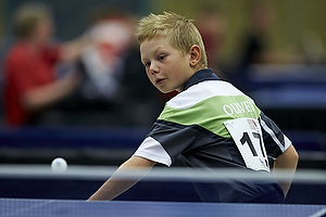 Bordtennis Ungdoms DM 2013