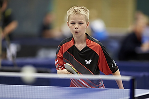 Bordtennis Ungdoms DM 2013