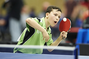Bordtennis Ungdoms DM 2013