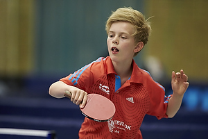 Bordtennis Ungdoms DM 2013