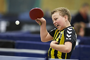 Bordtennis Ungdoms DM 2013