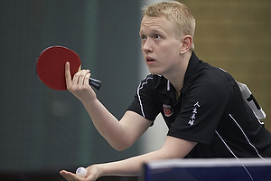 Bordtennis Ungdoms DM 2013
