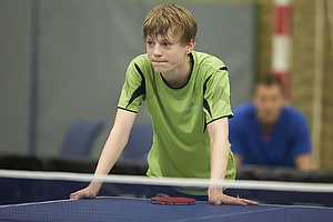 Bordtennis Ungdoms DM 2013