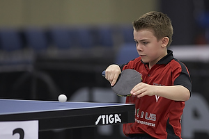 Bordtennis Ungdoms DM 2013