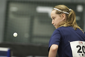 Bordtennis Ungdoms DM 2013