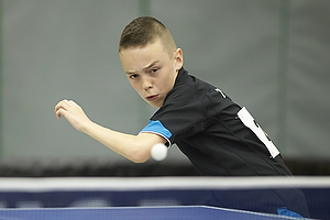 Bordtennis Ungdoms DM 2013