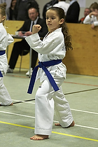 Teakwondo - Esbjerg Plus Cup Teknik