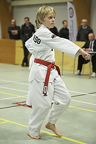 Teakwondo - Esbjerg Plus Cup Teknik