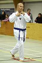 Teakwondo - Esbjerg Plus Cup Teknik