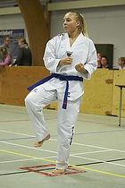 Teakwondo - Esbjerg Plus Cup Teknik