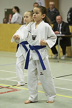 Teakwondo - Esbjerg Plus Cup Teknik