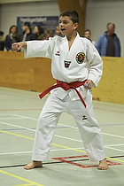 Teakwondo - Esbjerg Plus Cup Teknik