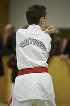Teakwondo - Esbjerg Plus Cup Teknik