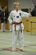 Teakwondo - Esbjerg Plus Cup Teknik