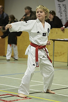 Teakwondo - Esbjerg Plus Cup Teknik