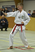 Teakwondo - Esbjerg Plus Cup Teknik