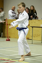 Teakwondo - Esbjerg Plus Cup Teknik