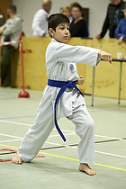 Teakwondo - Esbjerg Plus Cup Teknik