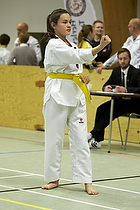 Teakwondo - Esbjerg Plus Cup Teknik