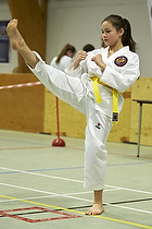 Teakwondo - Esbjerg Plus Cup Teknik