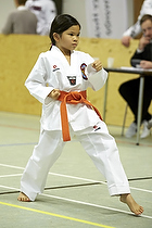 Teakwondo - Esbjerg Plus Cup Teknik