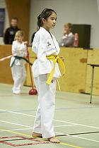 Teakwondo - Esbjerg Plus Cup Teknik