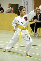 Teakwondo - Esbjerg Plus Cup Teknik