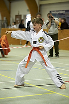 Teakwondo - Esbjerg Plus Cup Teknik