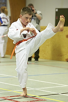 Teakwondo - Esbjerg Plus Cup Teknik