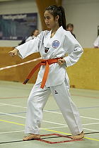 Teakwondo - Esbjerg Plus Cup Teknik