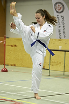 Teakwondo - Esbjerg Plus Cup Teknik