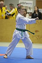 Teakwondo - Esbjerg Plus Cup Teknik