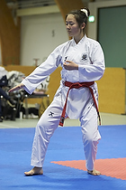 Teakwondo - Esbjerg Plus Cup Teknik